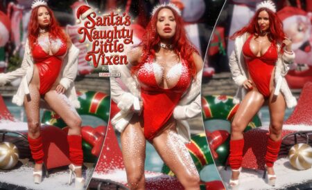 12 bianca beauchamp santas naughty little vixen covers 01