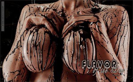 flavor of the day covers 03