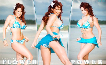 flower power covers 01