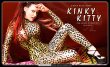 kinkykitty covers 01