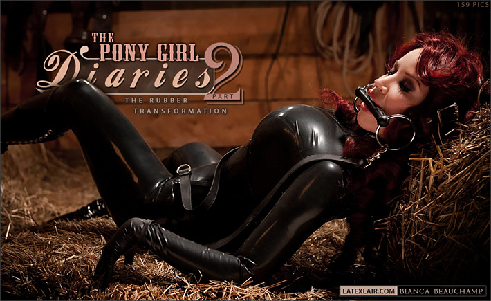 theponygirldiaries pt2 covers 003