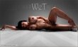 wet covers 01