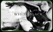 12 white black covers 2007 12 whiteblack 01 Copy