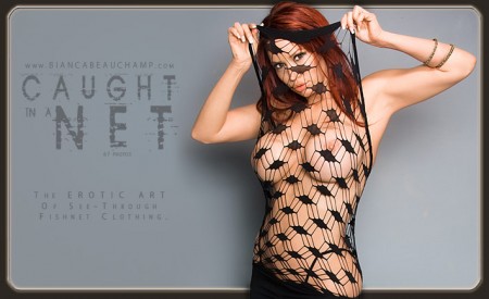 04 caught in a net covers 01