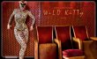 08 wild kitty 0 wildkitty covers 02