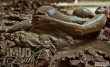 09 dirty mud bath covers 04