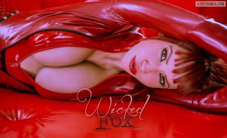 02 wicked fox covers 06