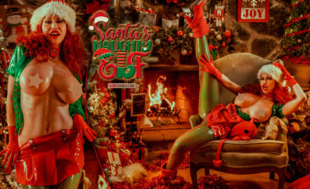 12 santas naughty elf covers 05